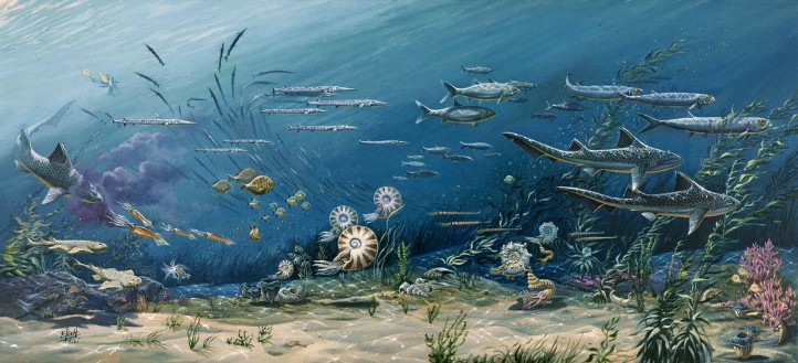 Research by @rogerclose @LES_UniBham reveals new insights into marine biodiversity over the past 540 million years. Read more...
birmingham.ac.uk/news/latest/20…