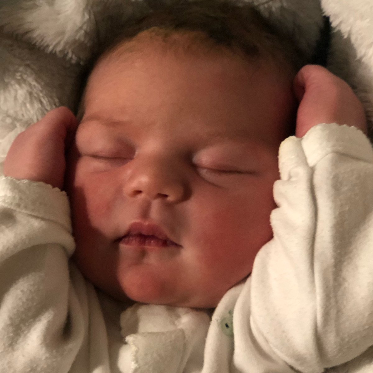 Rob Brown tweet media