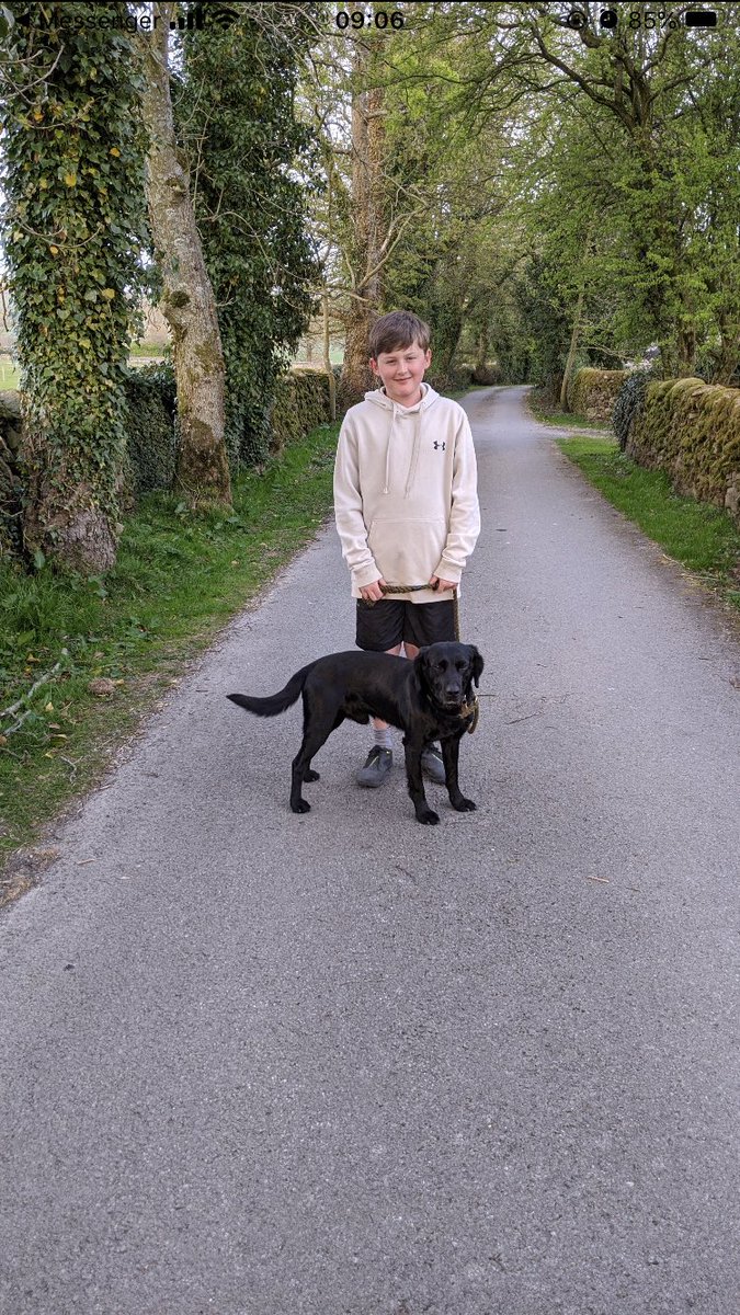 SettleCollegePE's tweet photo. HAPPY FRIDAY SETTLE COLLEGE ๐ the sun is shining...will you be out and about today using your exercise allowance wisely? โ๏ธโ๏ธโ๏ธ
Check out another one of our fantastic pupils and meet Mr Peabody ๐ถ๐ถ reckon he could be our school mascot?
#TEAMSETTLE #PROUD https://t.co/6v0xdkuJ3B