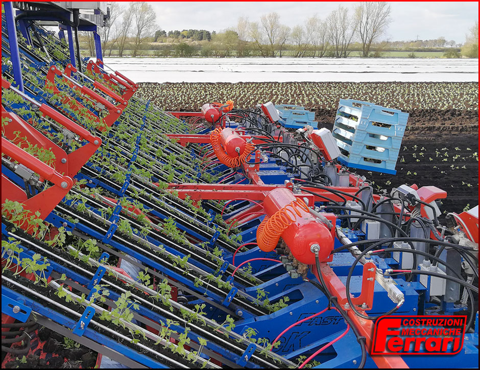FerrariSrl's tweet photo. The #Ferrari #FastBlock #Transplanter can work at high speed without stressing the plants. Here is some #celery transplant in action. Discover more ➡️ https://t.co/vZ1JJDkJNx https://t.co/hKsMpY4tY7