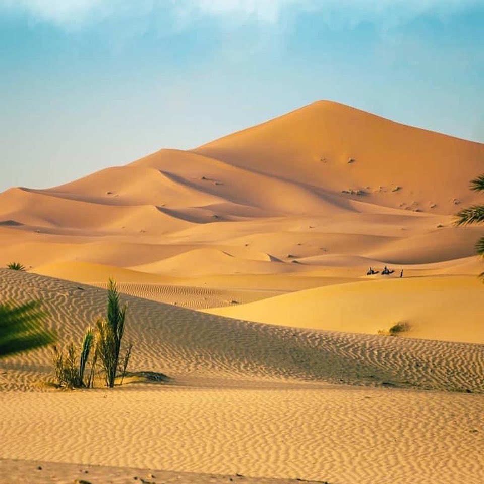 Good morning #travelers! Special landscape in #Morocco.
#kitecamp.it 
#kitesurf #kitesurfing #moroccotravel #viaggiare #morocco🇲🇦 #riad #moroccotrip #viaje #viaggio #vacation #marrakech #trip #travel #voyage #marocco #travelbloggers #holidays #viaggi #beach #travelblog #adventure
