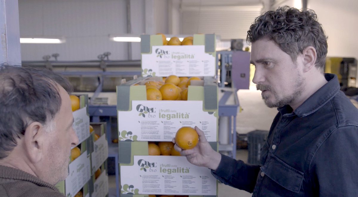 🍓🥒 Een deel van de aardbeien en asperges ligt al te rotten in de velden. Dat komt doordat honderdduizenden seizoenwerkers de oversteek niet kunnen maken om in Europa ons groente en fruit te oogsten. Dus wie gaat het nu doen en hoe? 

Lees het op: npo3.nl/wie-plukt-ons-… #KVW