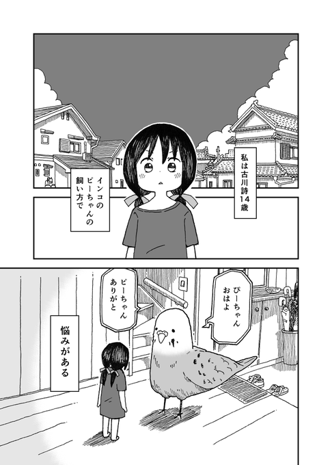 うちのピーちゃん① 