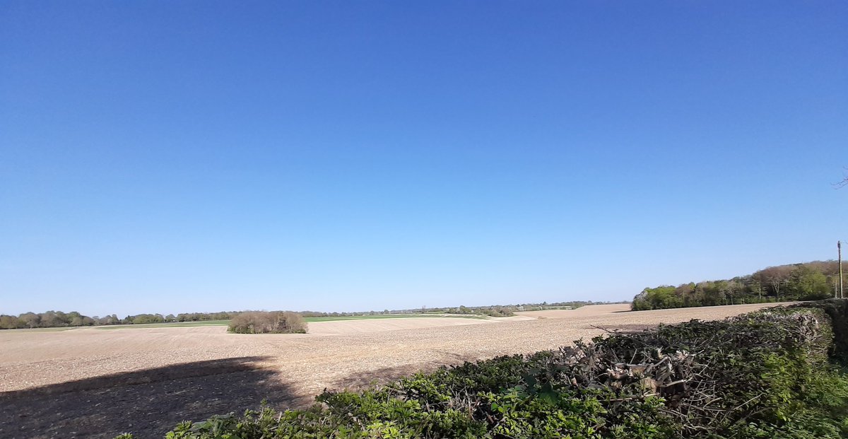 Kevin Markham tweet media