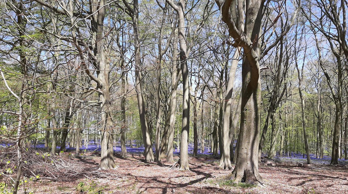 Kevin Markham tweet media