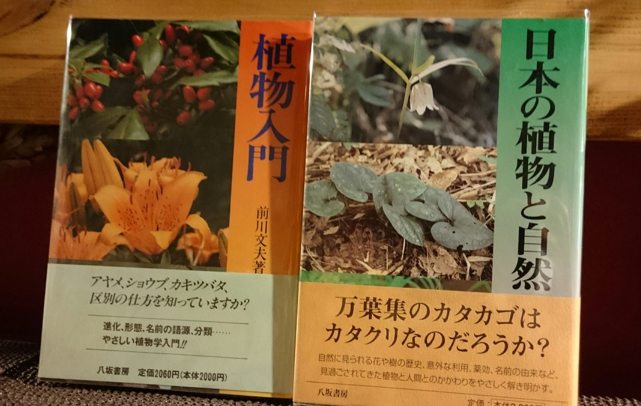 弥生坂 緑の本棚 على تويتر 植物学の日ということで 在庫から本を紹介中 東京大学つながりで 植物学のおもしろさ 植物入門 は入門書として読んでおきたい作品 植物のこころ で著者は 植物には感覚はあるが感情はない とバッサリ切っていますが あって