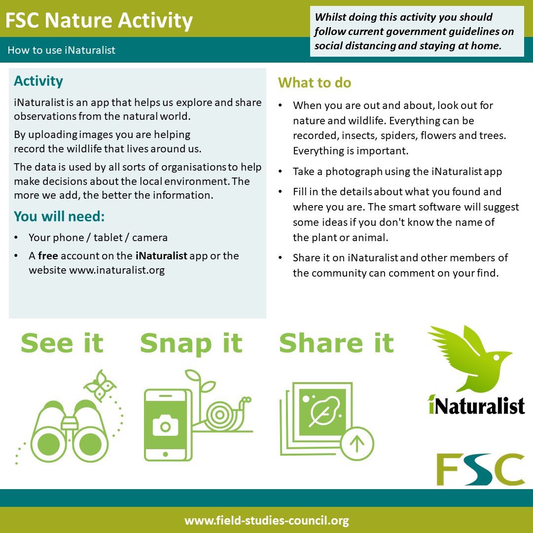 FSClondon's tweet image. INaturalist is really intuitive to use, but here’s a simple guide we’ve made just in case :D can’t wait to see how many records we all make #CityNatureChallenge2020 #CNCLondon2020 #getinvolved #familyactivities #citizensciencemonth @citnatchallenge @FieldStudiesC @BioBlitzUK