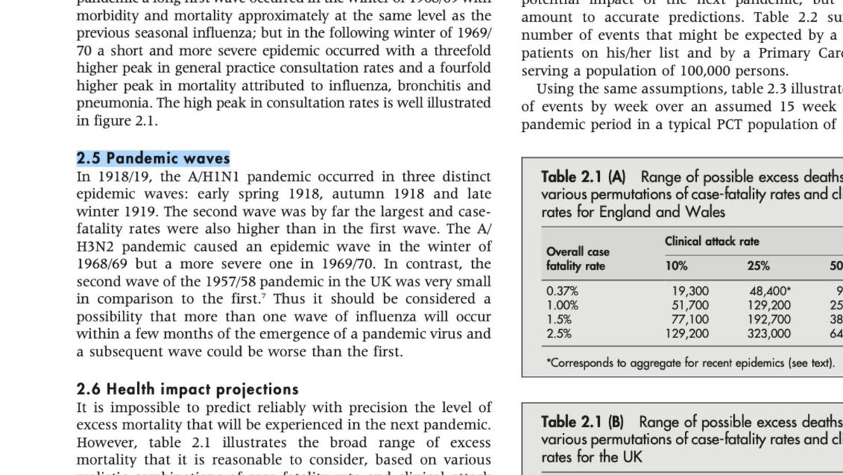 2007 The pandemic will come in waves.  https://thorax.bmj.com/content/thoraxjnl/62/suppl_1/1.full.pdf