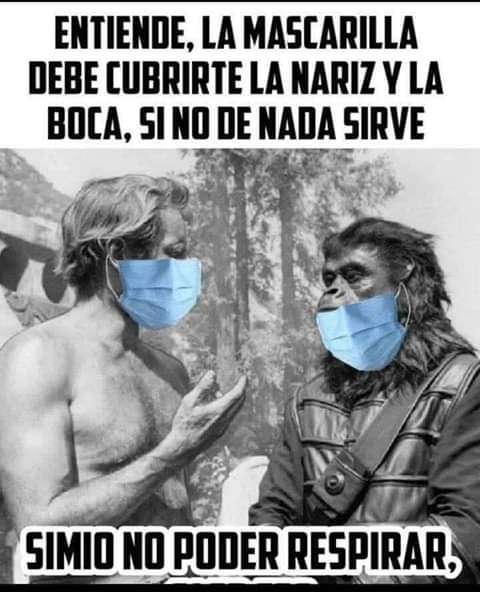jonyverch's tweet photo. #EsDeCompas explicarle a tu simio... perdón! a tú compa"  cómo usar la mascarilla. @yaparateoficial https://t.co/Wbi9GBojjb
