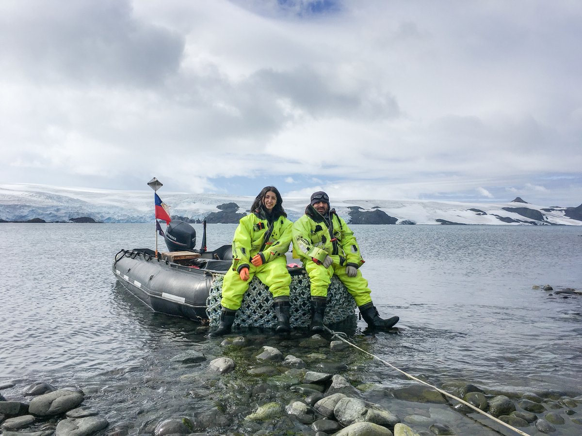 inach_gob's tweet photo. 📌 📷 HOY, en #ECA56enfotos les dejamos las siguientes imágenes que nos muestran el desarrollo de la Expedición Científica Antártica que cada año efectúa el INACH.
#Chile #Cuarentena #Quedateencasa #Ciencia #Antartica #Patagonia #Fotografias 🇨🇱 🇦🇶 @mleppe @Minrel_Chile https://t.co/Iiyy1XZp6y