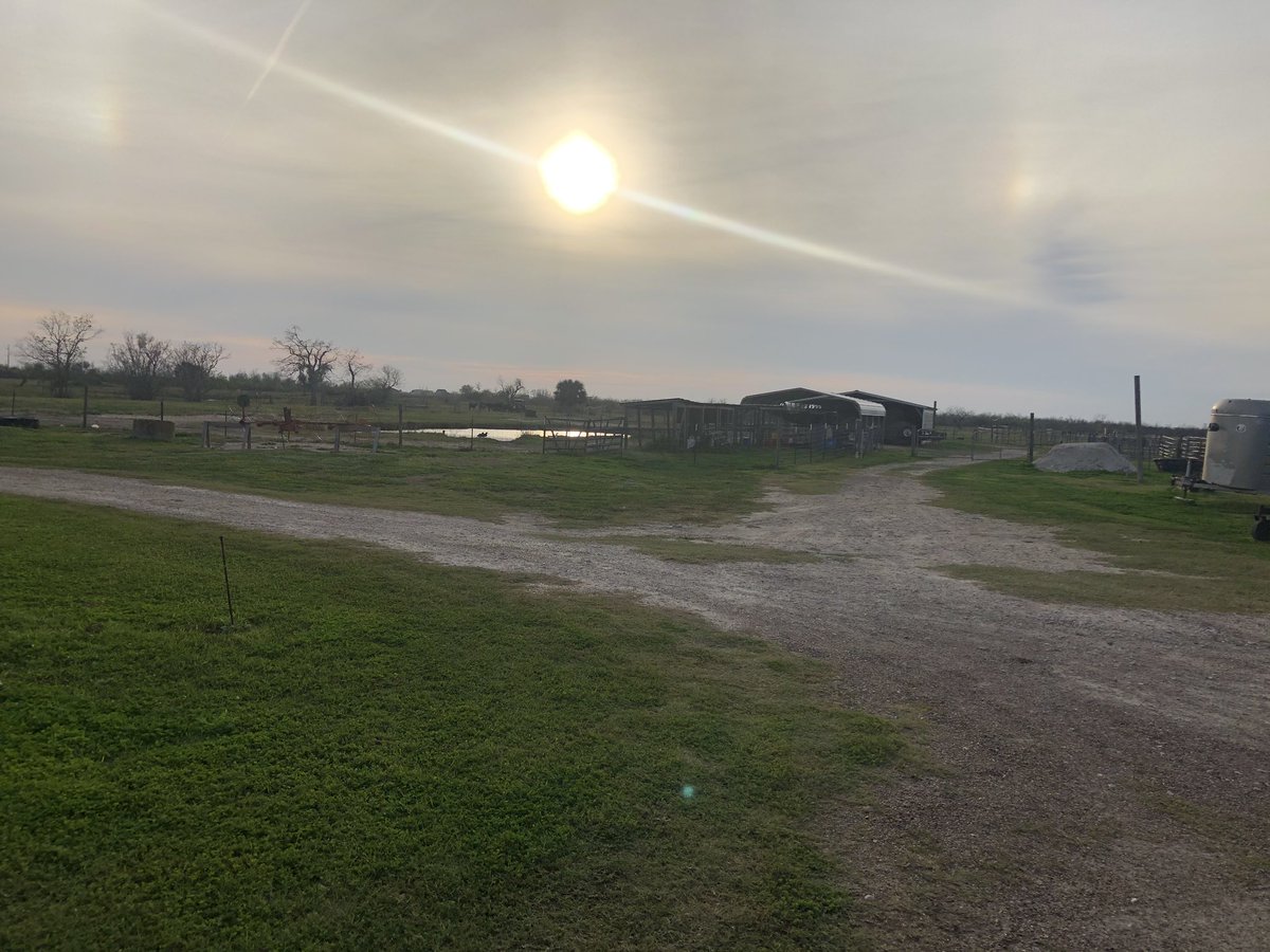 watkins_lis's tweet image. #MyOldNormal  @CharmofTxCoast at the family ranch. Visiting during spring break.