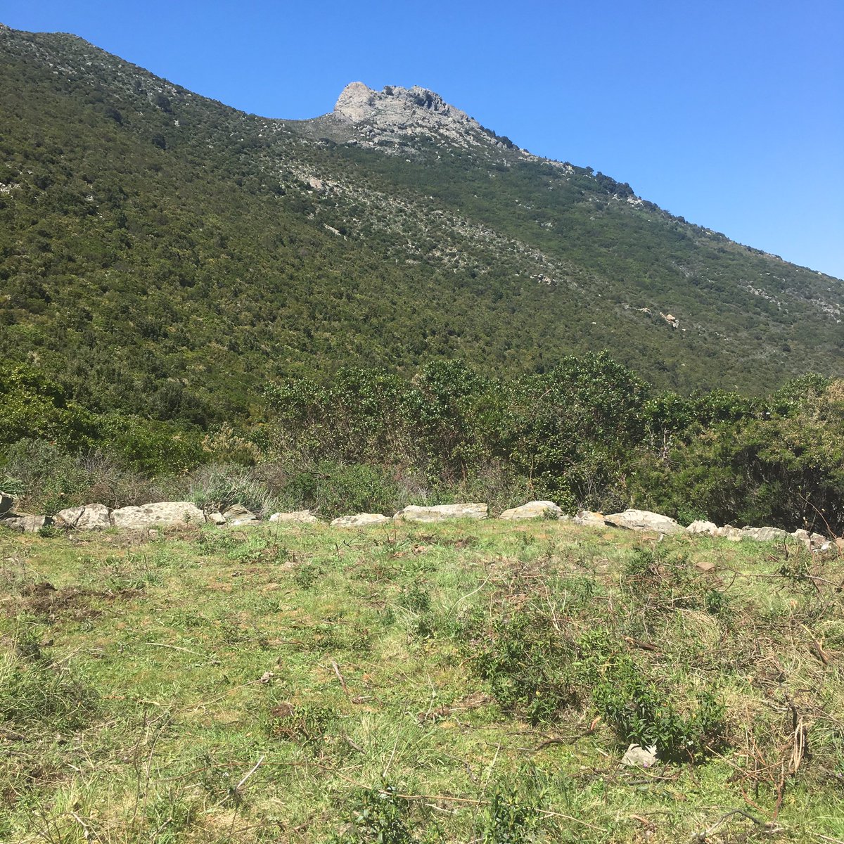 AlbertiniB's tweet photo. #aghja di #Stella #ricordi2019 https://t.co/qjDyPM7v56