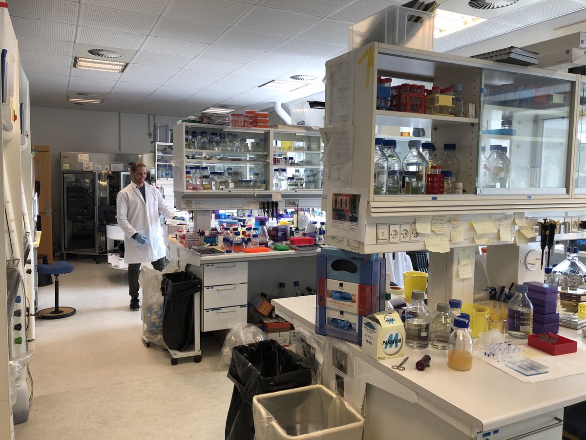PoulNissen's tweet photo. University research opening will be like this: 1-2 scientists in a 120 m2 lab for 24 - the other 22-23 not there #dkpol https://t.co/KDgEaRtAWu