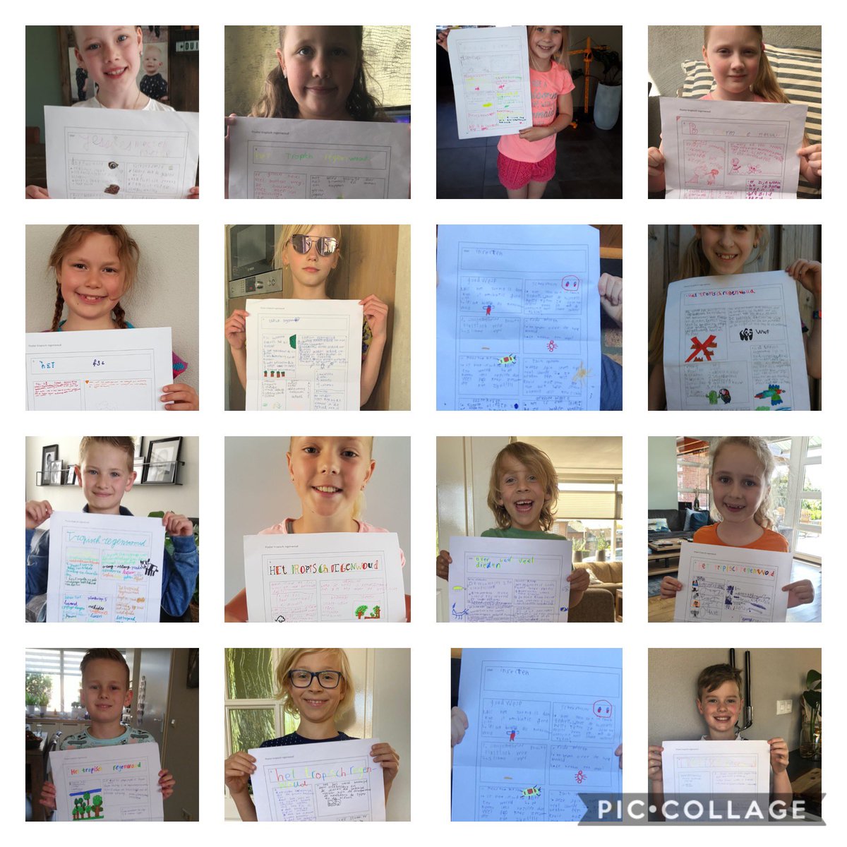 talentinbloei's tweet photo. Hard gewerkt weer afgelopen week! TIB 3/4 heeft zich verdiept in insecten en TIB 5 in het tropisch regenwoud. Allemaal hebben ze hier een gave poster over gemaakt! 
En dan nu lekker VAKANTIE en daarna zien we elkaar weer live ❤️🎉💪 #plusklas #hoogbegaafd https://t.co/DXEw1HpNOo