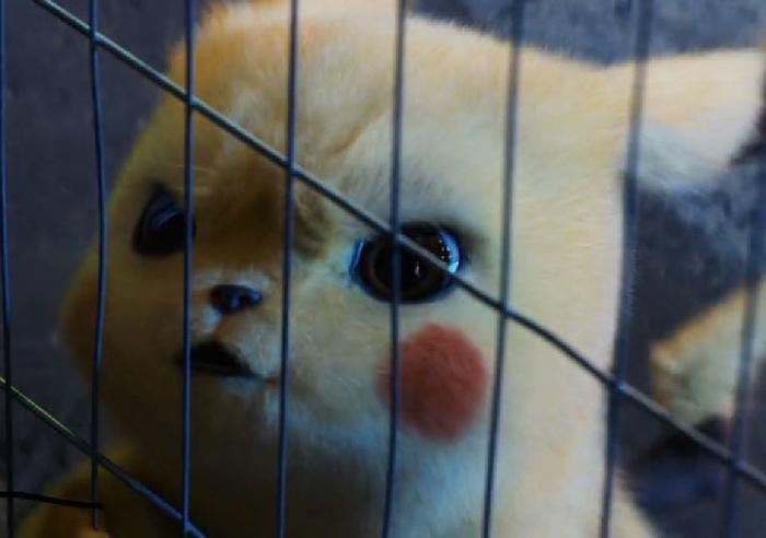 พุดไม่นู้เนื้องเบ๋อ