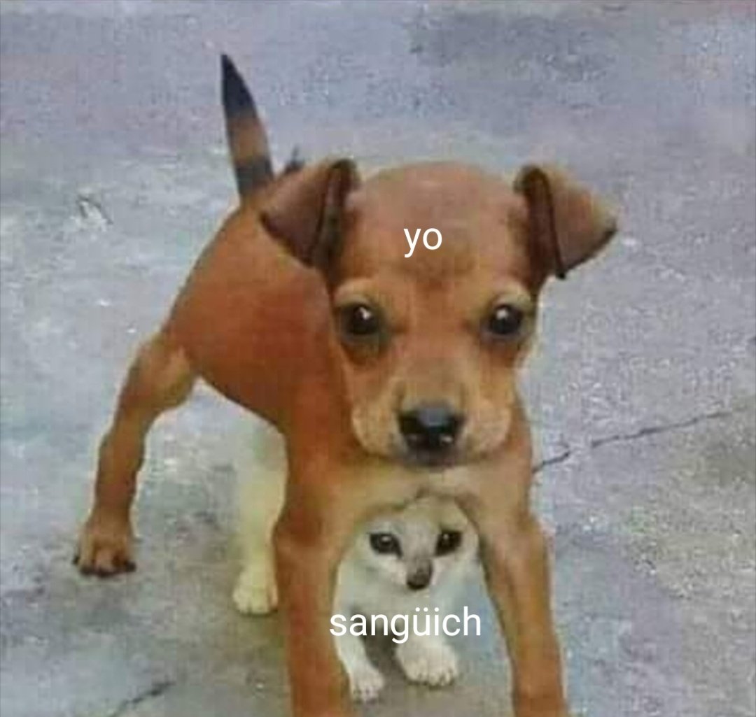 rebecasrz's tweet photo. Has venido a meterte con el alimento equivocado, chaval 🔪 https://t.co/VOzXruQIYP