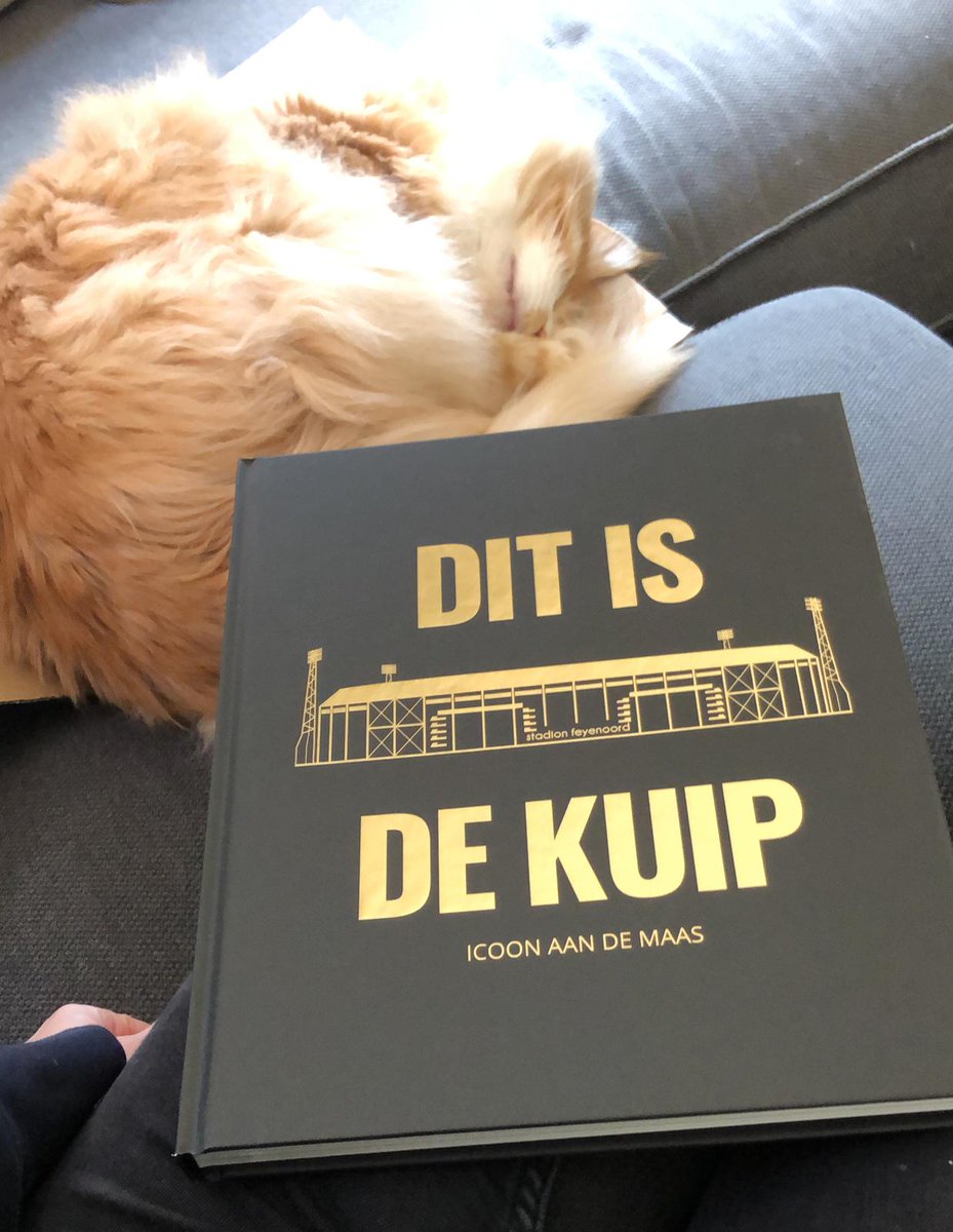 DitisDeKuip tweet media