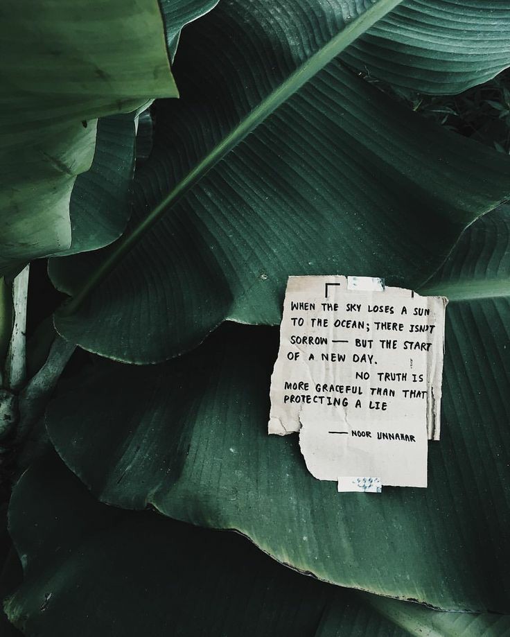 Высказывания о зеленом цвете. Афоризмы про зеленый цвет. Афоризмы про зеленый цвет. Афоризмы про зеленый цвет. Цитаты про зеленый цвет.