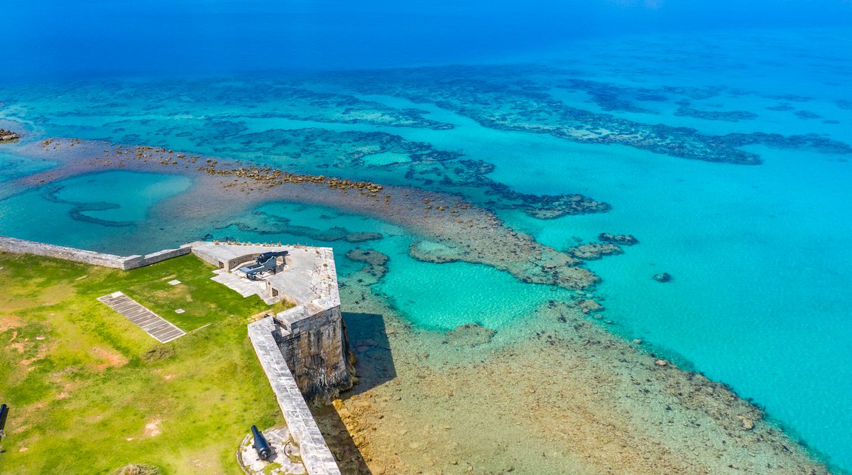 NatlMuseumBDA's tweet photo. Bermuda blues #museummomentofzen #athomewithhistory #unitedtogetherbda #bermuda #bermudaful @Bermuda https://t.co/YFqZ716Hs2