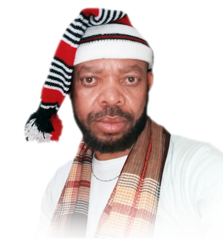 COVID - 19 NATIONWIDE LOCKDOWN, THE COMING CRISIS AND HOW THE SOUTH EAST CAN BE SECURED – IGBO RENAISSANCE FORUM oyiofoyi2.wordpress.com/2020/04/24/cov…