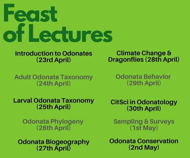 AmilaSumanapala's tweet photo. Virtual meetings of DragonflySouthAsia @DragonflyIndia. Lets spread awareness on dragonflies. Join us on our #Facebook page daily at 5.30pm (IST). @WorldDragonfly @BDSdragonflies #biodiversity #conservation #nature #Covid_19 #virtualmeeting https://t.co/DqHnBQf4W1