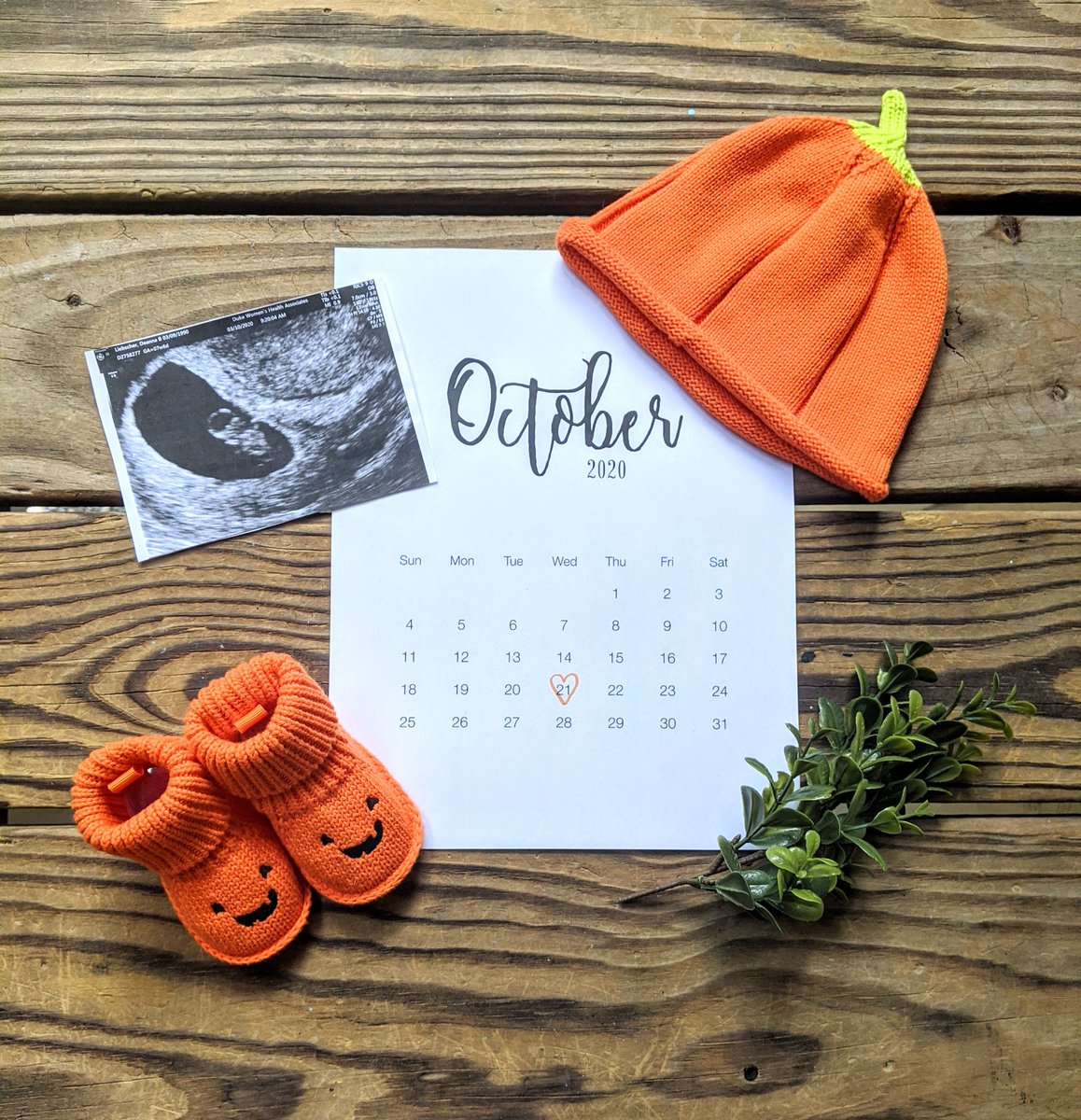 I told my class yesterday on Google hangout through a game of hang man about <a href="/HortonsCreekES/">Hortons Creek ES</a> littlest hawk. Wish I could have told them in person🥺 First 3 questions were: Is it a boy or a girl? How many babies are in there? Are you naming it George Washington?  #togetherisbetter