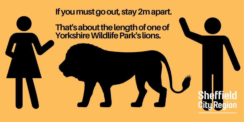 Going outside? Remember to keep your distance; about the length of a <a href="/YorkshireWP/">Yorkshire Wildlife Park 🦁</a> lion🦁

But don't use an actual lion as a measuring tool. And always stay more than 2m away from any lions you do happen to see. 

#StayAtHome #StayHome