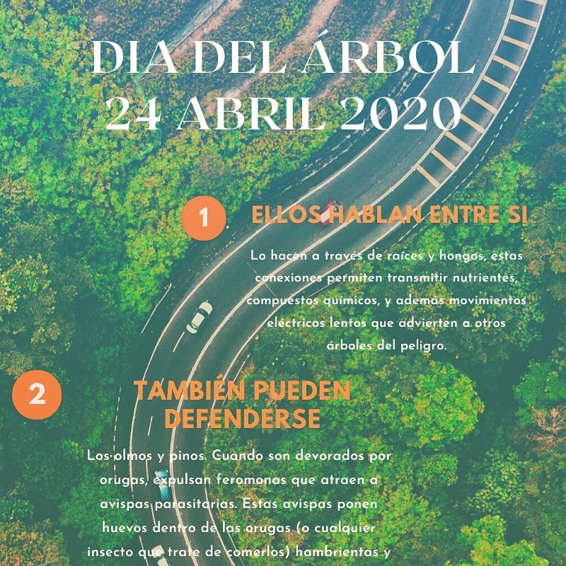 paulina_248's tweet photo. #dia del árbol 🌳🌳🌳🌳 gracias @Ices_ctdla por la infografia 🙌 https://t.co/R5TMdFpJy7