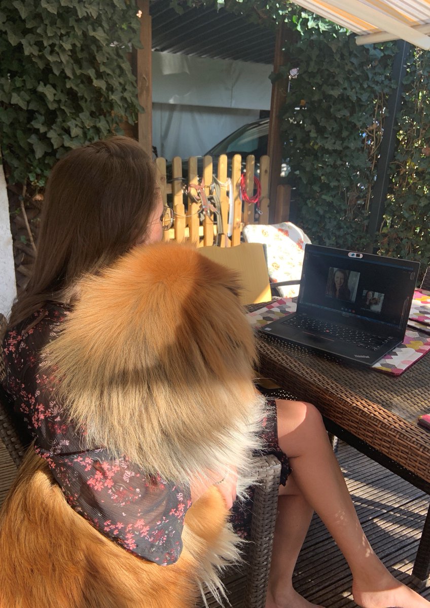 CapgeminiDE's tweet photo. Nur eine Stunde vor Beginn des #EUvsVirus Hackathons! Unsere Kolleginnen Sonja Maier und @c_tussing (mit tierischem Begleiter) bereiten sich gerade vor, um digitale Lösungen innerhalb 48 Stunden zu liefern. Mehr Infos hier: https://t.co/AvFbD1my2l #StrongerTogether ^rp https://t.co/JJxLLnzE01