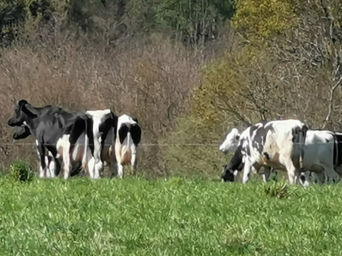 DepVendee's tweet photo. #Session 4e mesure : @DepVendee renforce son accompagnement aux associations qui aident les agriculteurs en difficulté. 5e mesure : le #DepVendee soutient la filière pêche en reportant les charges d’occupation et en prenant en charge les produits non perçus à hauteur de 200000€. https://t.co/hXxt3NkpTy