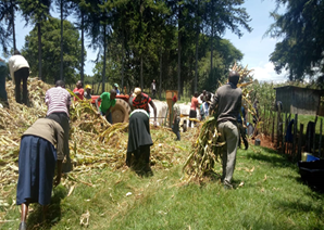 Agriterra's tweet photo. As you do your part in slaying this dragon called COVID-19, spare some minutes to go through a case study on the project we are currently running with BAMSCOS focusing on productivity increase through good extension services https://t.co/zcXMfLnbRs #agriterratraining #sustainable https://t.co/en7J3nvij0