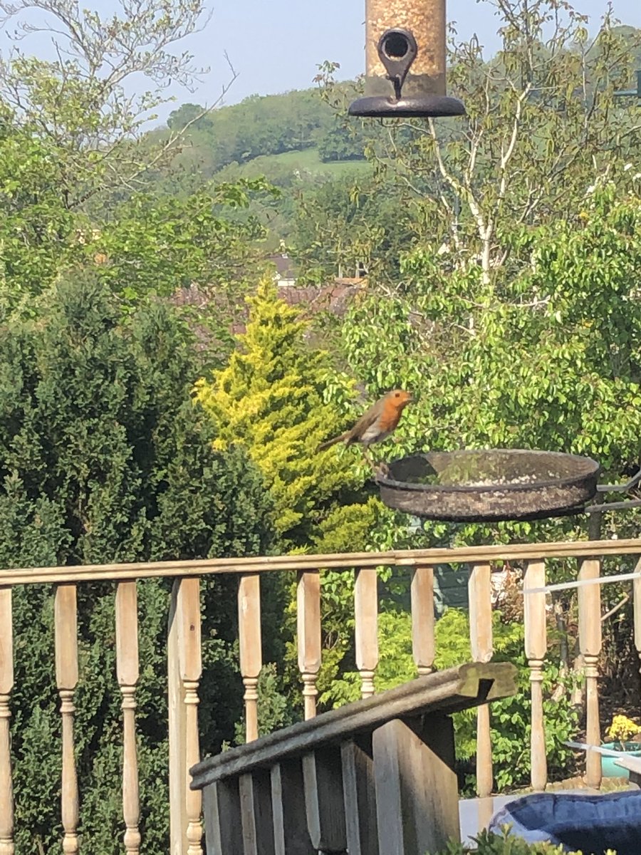 Breakfast with Robin
