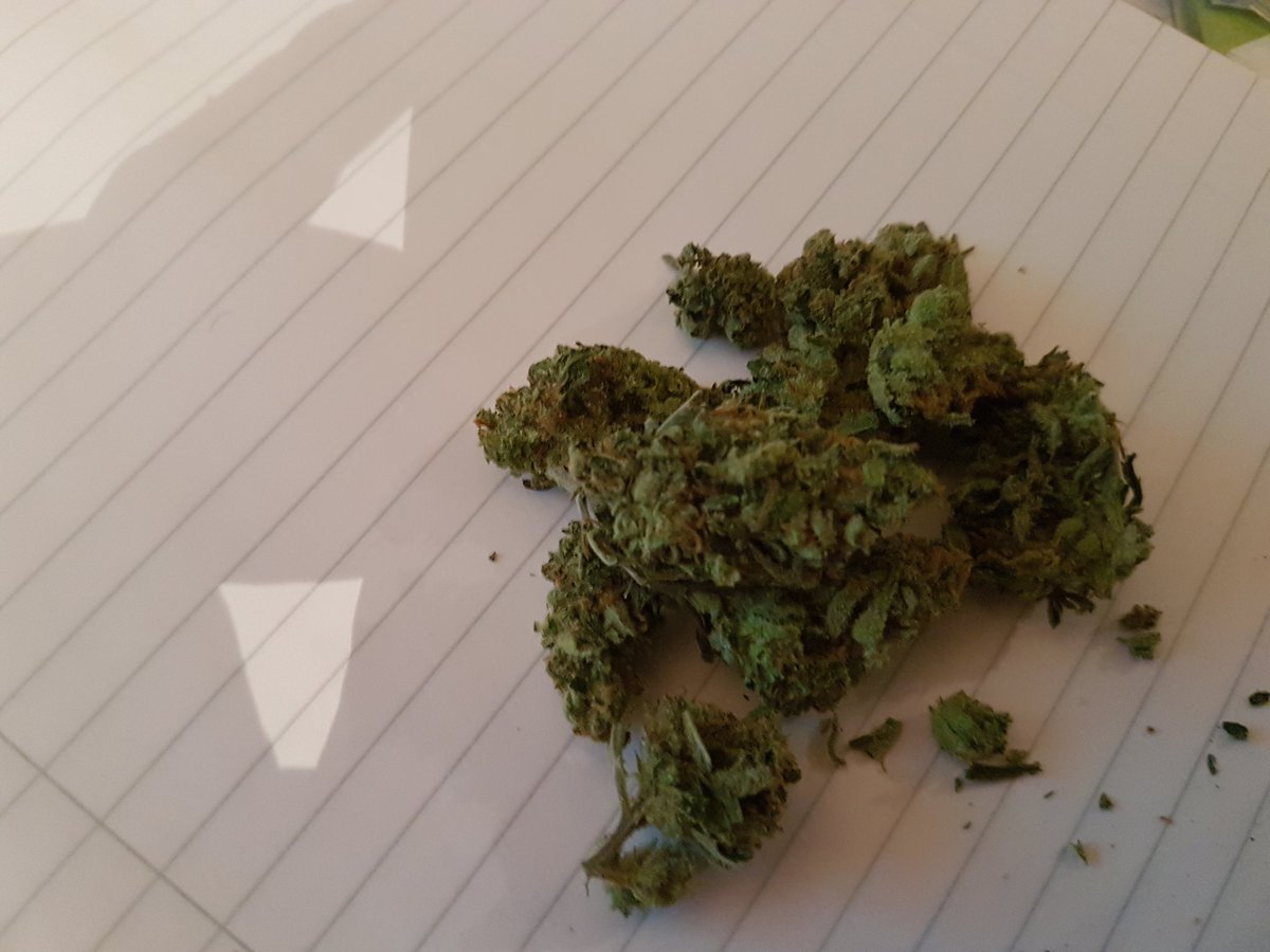 #lemonhaze i got the other day #gradeA my one geezer only gets #haze tbh so only really go to him here and there but his grade is always on point heres flash and no flash 👌
🍋🍋🍋🍋🍋🍋🍋🍋🍋🍋🍋
#brumtownweed #birminghamganja
#stonervibes #jaybeesgotflavors