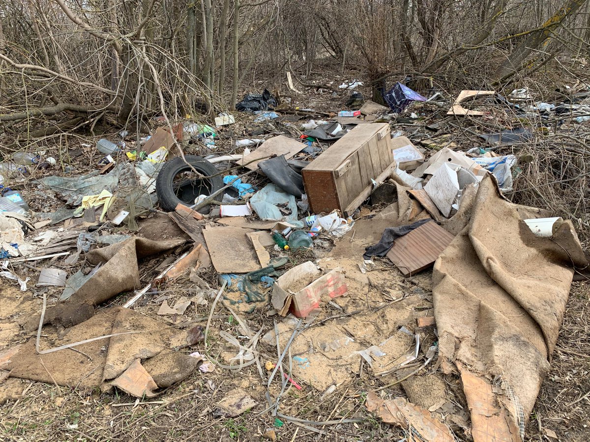 В ДОНСКОМ ЛЕСОПОЛОСУ В НАПРАВЛЕНИИ ПОСЕЛКА ПОДЛЕСНЫЙ ПРЕВРАТИЛИ В СВАЛКУ 
В «Экологическую защиту» поступило обращение от жителей г. Донского о том, что лесополоса по Железнодорожному проезду завалена различными отходами. vk.com/ecozaschita?w=…