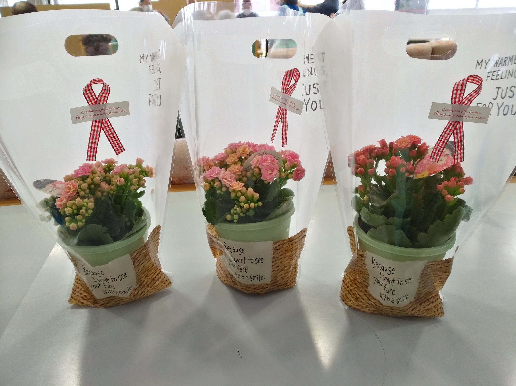 ট ইট র 那珂川町社会福祉協議会 またまたデイサービスです 利用者様のお誕生日のプレゼントの鉢植えです お花屋さんにおまかせしているので 何の鉢植えなのかは届いてからのお楽しみです 今回は カランコエ でした