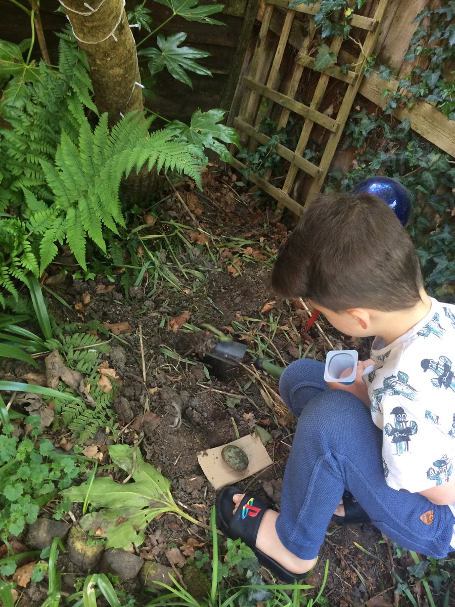 BECCI678's tweet photo. @FfynnonTafPri mini beast hunting in the garden, we’ve set our trap🐛🐌 https://t.co/yICLvc41cd