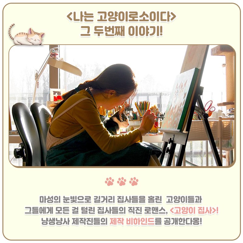 고양이 기다리다 망부석 될 뻔!? ⏳🤖 ⠀ 소듕한 고양이들을 위해 고군분투한 <#고양이집사> 제작진들의 냥맞춤 제작 비하인드 대/공/개! 🎬✨...