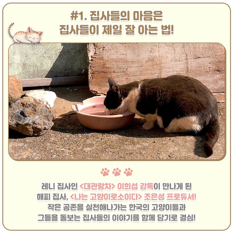 고양이 기다리다 망부석 될 뻔!? ⏳🤖 ⠀ 소듕한 고양이들을 위해 고군분투한 <#고양이집사> 제작진들의 냥맞춤 제작 비하인드 대/공/개! 🎬✨...