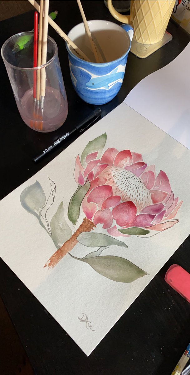 danicaxie's tweet photo. GP supervisor away today so impulse bought some watercolours from #Spotlight (local craft store) and plagiarised some art inspo from the photo frame aisle while watching #masterchefaustralia #medtwitter #friyay https://t.co/kXV4Km1OSi