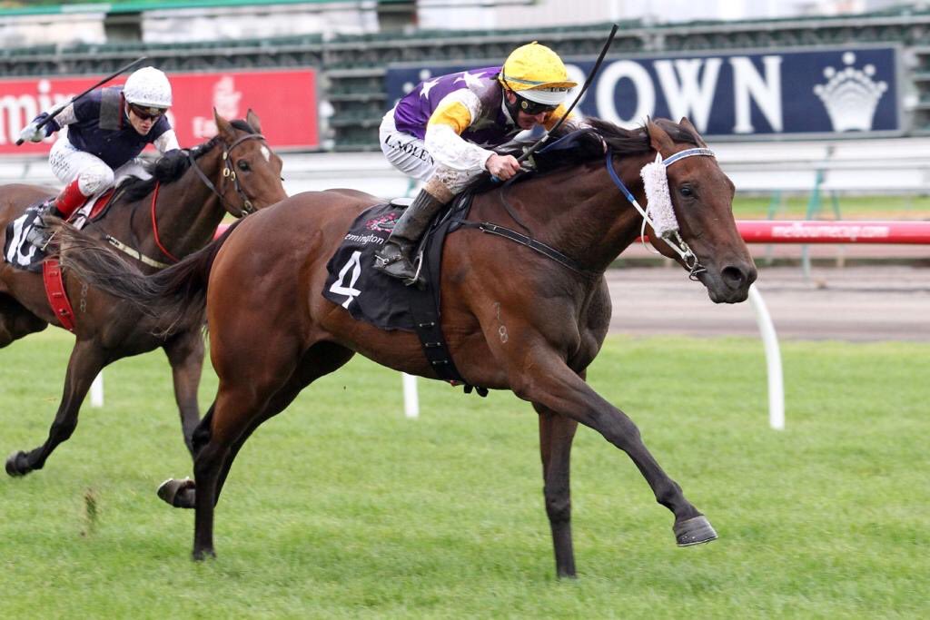 daniel_gangi's tweet photo. 8yrs tomorrow the mighty Vatuvei won the VRC St.Leger. A race that Pharlap also won. Just saying!🤛 https://t.co/nci81bEnQa