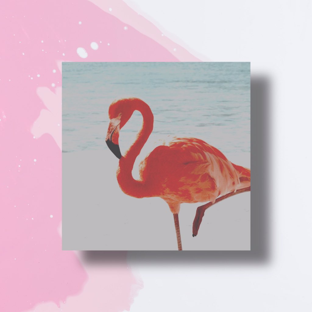 ‘ ‘

  see i pity in watching       天
  you 𝑠𝑢𝑓𝑓𝑒𝑟 . i know the    夜
  feeling of being 𝚍𝚊𝚖𝚗𝚎𝚍   叉

       𝘼𝙇𝙊𝙉𝙀 , 𝑖 𝑔𝑜𝑡 𝑡ℎ𝑒 𝑠𝑡𝑜𝑟𝑦 
𝑏𝑜𝑜𝑘 𝑜𝑓 𝑚𝑦 𝑜𝑤𝑛

                  ﹏﹏﹏❅ೃ #𝖋𝖆𝖓𝖌𝖊𝖉𝖜𝖆𝖙𝖊𝖗
#𝗢𝗣𝗥𝗣 * #𝗠𝗩𝗥𝗣