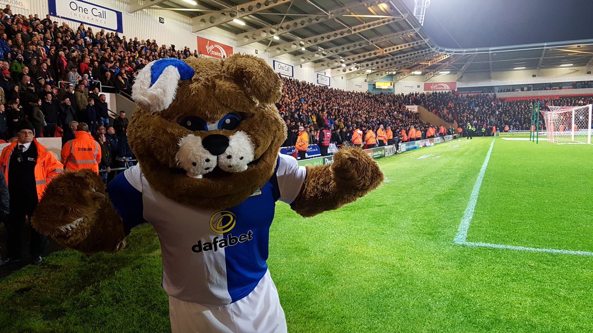 BRFCTrust's tweet photo. 📷 What a night @OneRoverTheDog had 2️⃣ years ago today! 

Did you join you us in South Yorkshire on a memorable night for #Rovers? 

You can watch it all over again in tonight’s #RoversRewind from 7pm 📺

➡️ https://t.co/vqiQ8tCqKG 

🔵⚪️ https://t.co/eKwU0jaSwm
