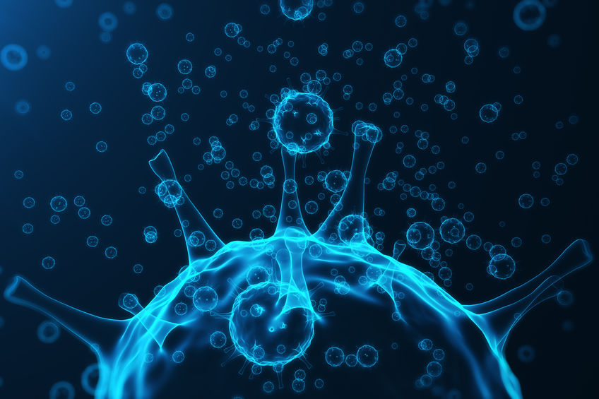 Fysiotherapie Maas: Update coronamaatregelen - mailchi.mp/2afb805a9473/f…