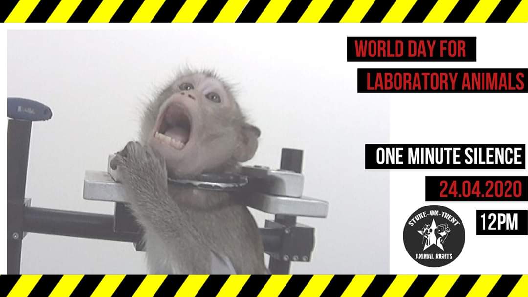 They NEED us to keep making noise. Vivisection has gone on for too long, is immoral, inexcusable, & needs to be consigned to the history books.Join us at 12:00PM today & hold a minutes silence for all the animals lost and those still incarcerated in labs.  #SilentForAnimalsInLabs