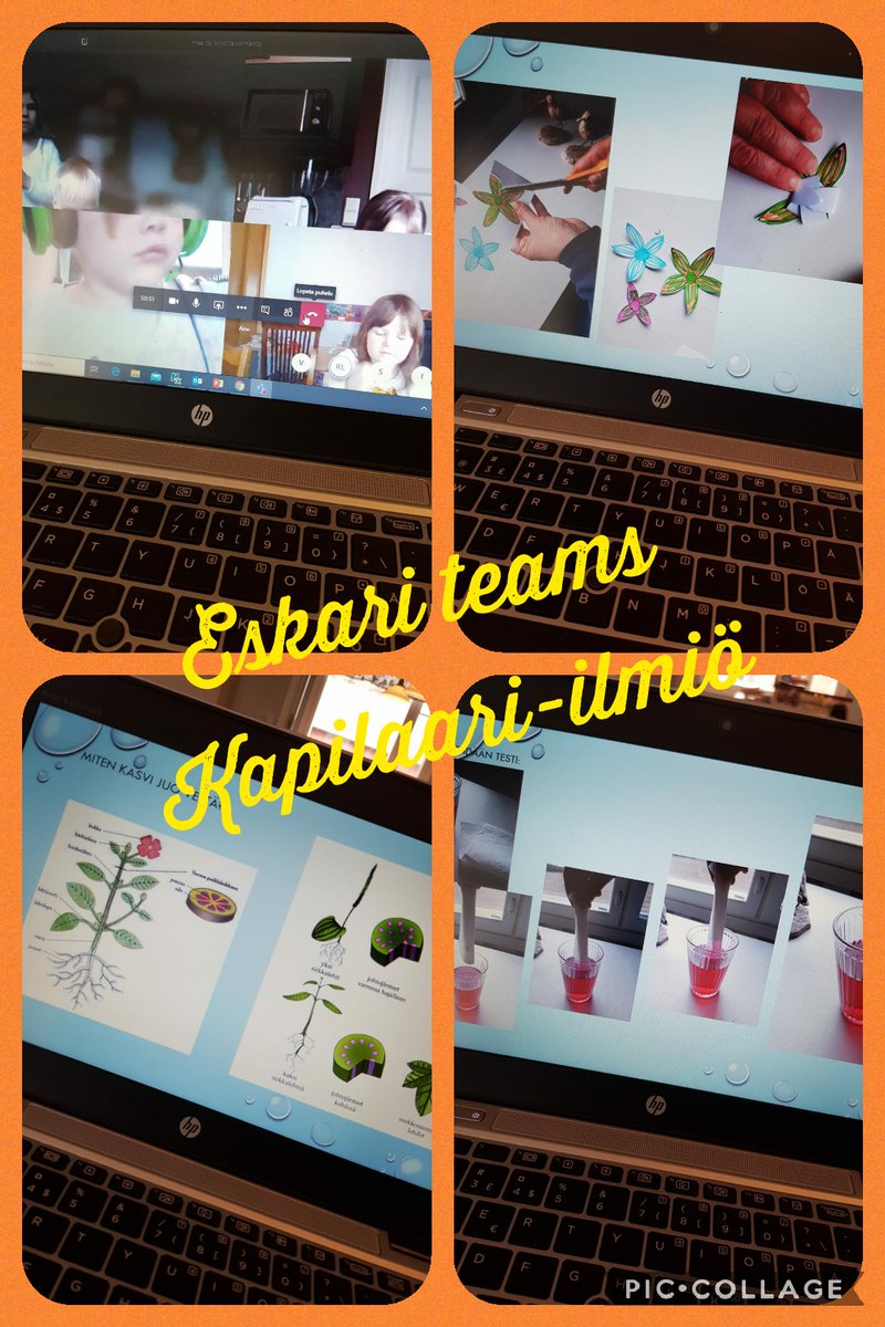 Tänään pidin ensimmäisen eskari-teamsin! Oli mahtavaa nähdä lapsia ja yhdessä tutustua ja tutkia kapilaari-ilmiötä.#tammela #esiopetus #lapsiystävällinenkunta