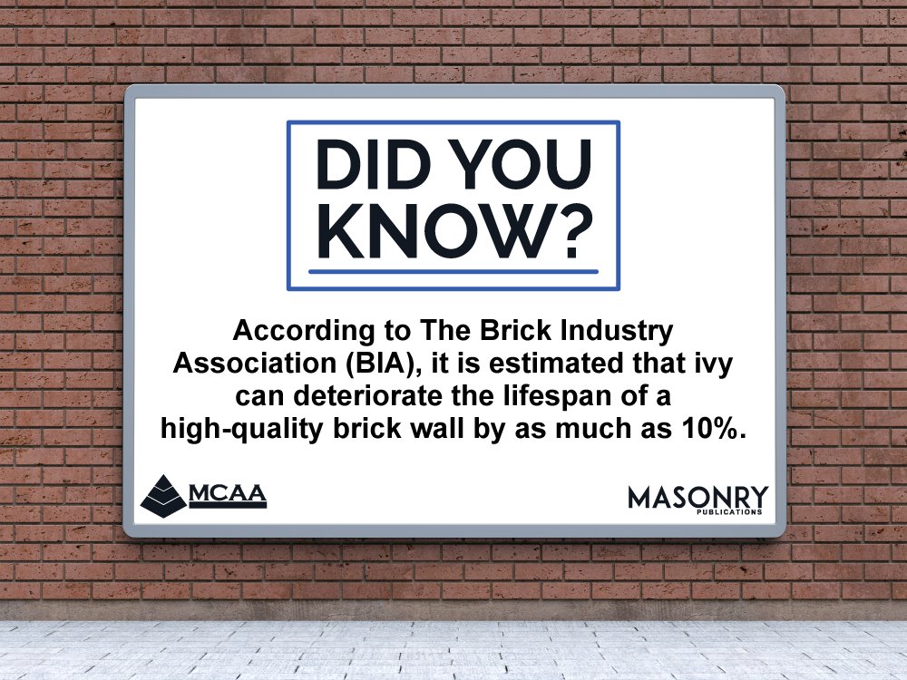 MasonryMagazine's tweet photo. Did you know? #FactFriday https://t.co/9TIcxacxG4