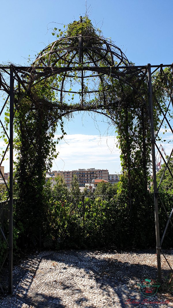 Selene Scinicariello tweet media