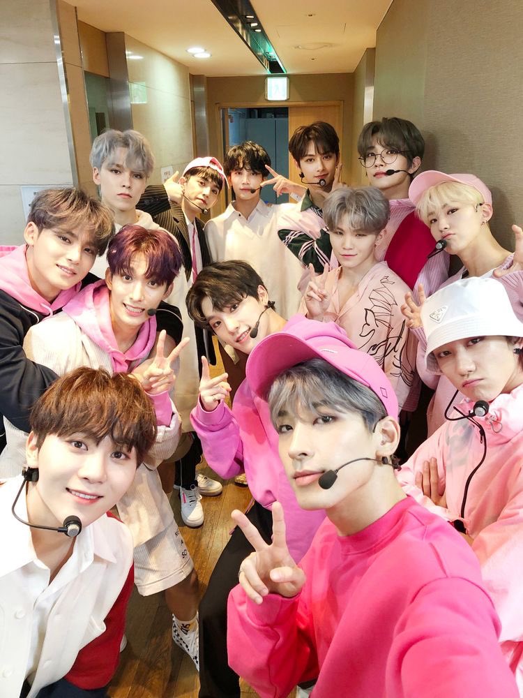 seventeen reacting to your text message saying that you’re pregnant— a thread