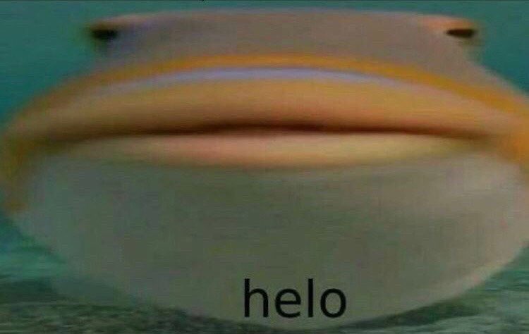 my moots as "can you buy me pads?" texts: a thread