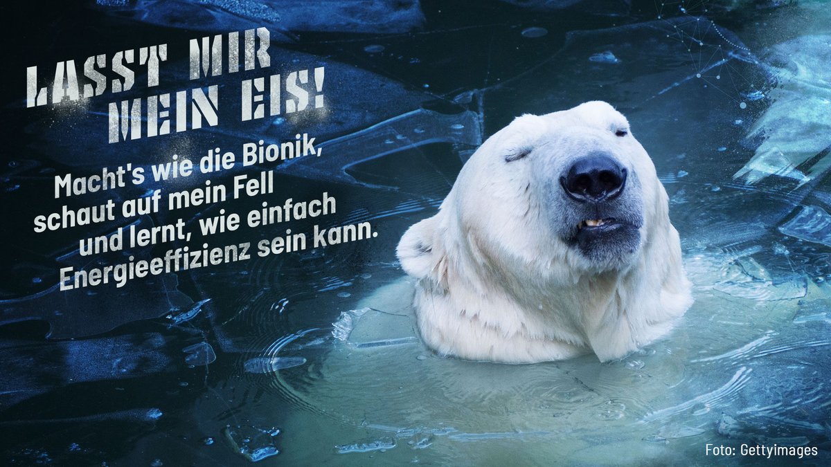 📣 Wir machen mit beim #NetzstreikFürsKlima. Mit #Bionik gegen den #Klimawandel … #E4F #KlimaSchrei <a href="/die_Bioniker/">die Bioniker</a> <a href="/BionikInstitut/">bionik.institut</a> <a href="/GrueneArbeit/">Netzwerk Grüne Arbeitswelt</a> @mfnberlin <a href="/MFN_Mediasphere/">Mediasphere For Nature</a> @UnternehmensGRU <a href="/sciforfuture/">Scientists for Future 🇩🇪 (stillgelegt)</a>